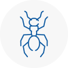 Ant Removals In Derbyshire