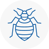 Bed Bug Extermination In Derbyshire