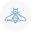Bee Nest Removal Derbyshire
