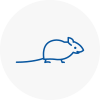 Mice Exterminators In Derbyshire