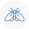 Moth Control Specialists In Derbyshire
